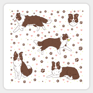 Adorable brown border collie dog illustration Sticker